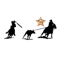 Horse Texas Sticker by Horseman Shop