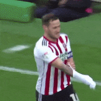 Sheffield United Soccer GIF by Sheffield United Football Club