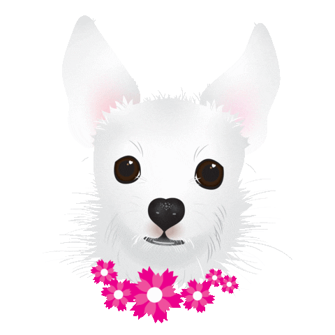 GreenDogGraphicDesign giphyupload greendoggraphicdesign custompetportrait littlewhitedog Sticker