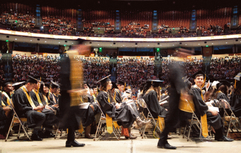 Graduation Commencement GIF by College of Natural Sciences, UT Austin