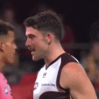 Hawthorn Hawks GIF