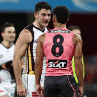 Hawthorn Hawks GIF
