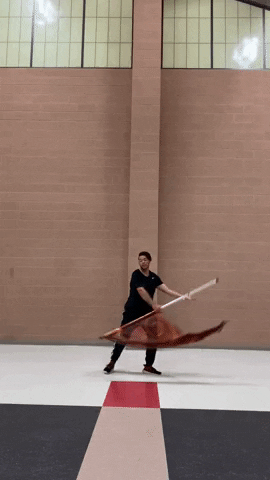 thatguywhospins giphyupload flag spinning colorguard GIF