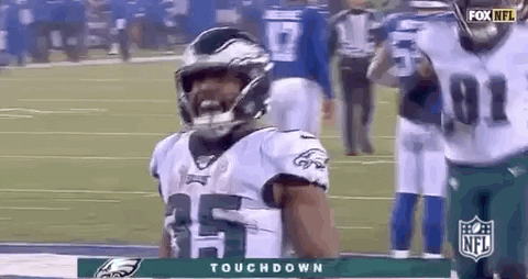 2019 Nfl Football GIF by NFL