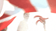 Happy Soccer GIF by Coca-Cola