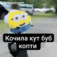 Monkey GIF