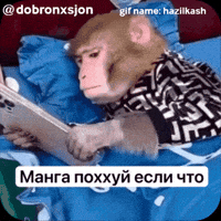 Monkey GIF