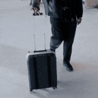 dbjourneygifs travel bag ski journey GIF