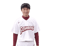 키움히어로즈 Sticker by Kiwoom Heroes Baseball Club