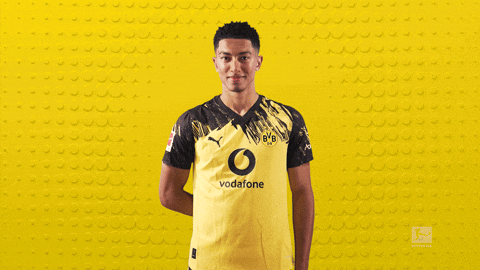 Borussia Dortmund Football GIF by Bundesliga