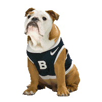 Happy Butler Bulldogs Sticker by Butler University