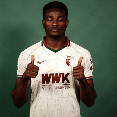 Bundesliga Daumen Hoch GIF by FC Augsburg 1907