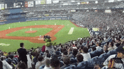 mascot orbit GIF by MLB
