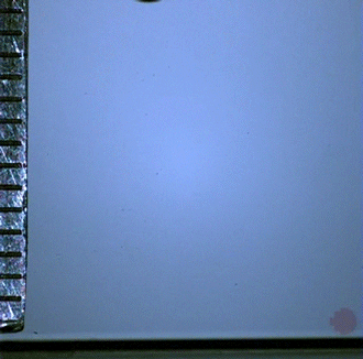 GIF by Digg