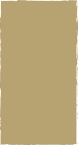 Carina_Feuerstein giphygifmaker gold background cf GIF