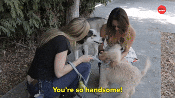 You're So Handsome