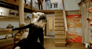 endlesspoetry dance ballet tutu alejandro jodorowsky GIF