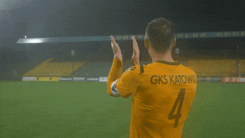 Bravo Gieksa GIF by GKS Katowice