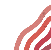 Pink Rainbow Sticker