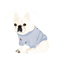 Frenchie Sticker by gnocchiandgoma