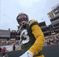 Green Bay Packers GIF