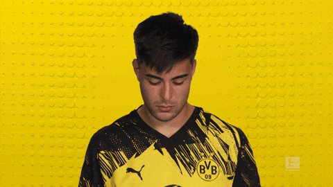 Borussia Dortmund GIF by Bundesliga