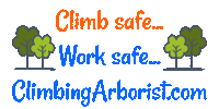 ClimbingArborist arborist tree climbing tree climber tree surgeon Sticker