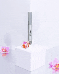 GIF by Payot