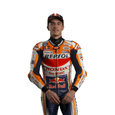 Happy Cheers Sticker by Box Repsol