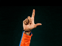 Sunrisers Hyderabad Century GIF