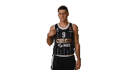 Partizan Sticker by sportmts