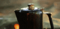 south carolina GIF