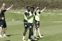 ytfc celebrate GIF by Yeovil Town FC