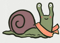 Snail Caracol GIF