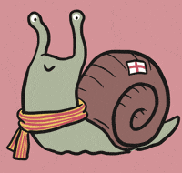 Snail Caracol GIF