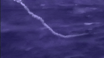 The Wave GIF by Bedouine