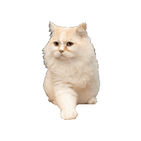Marley Sticker by Gray Hat Films