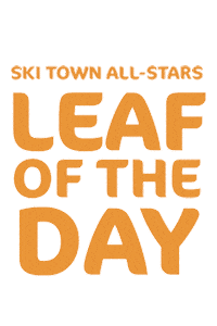 Fall Sticker by Ski Town All-Stars