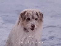 season 5 netflix GIF by Gilmore Girls 