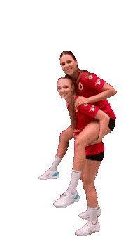 Sport Team Sticker by vflbrambauer