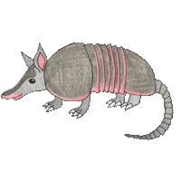 Armadillo Sticker by Julie Wierd