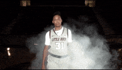 Littlerockwbb GIF by Little Rock Athletics