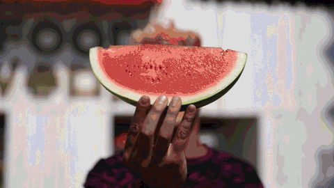 loop festival GIF by Pukkelpop