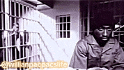 Willianpacpacslife GIF
