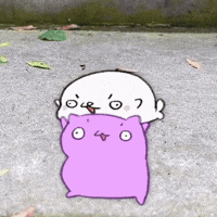 Cat Heart GIF
