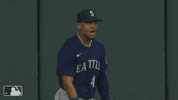 Major League Baseball Sport GIF by MLB