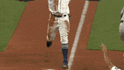 Lets Go Sport GIF by MLB
