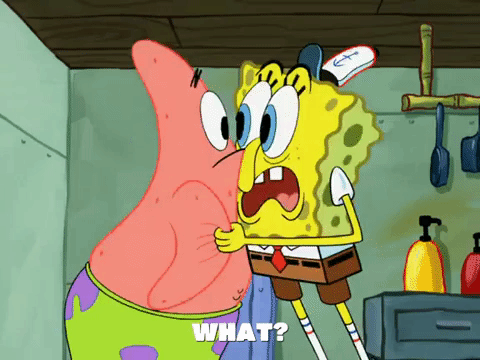 season 6 patty caper GIF by SpongeBob SquarePants