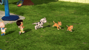 Animation Dog GIF by Moonbug