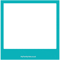 myfamilyvets frames veterinary vets mfv Sticker
